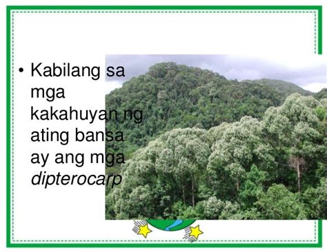 Likas na yaman ayon sa uri .